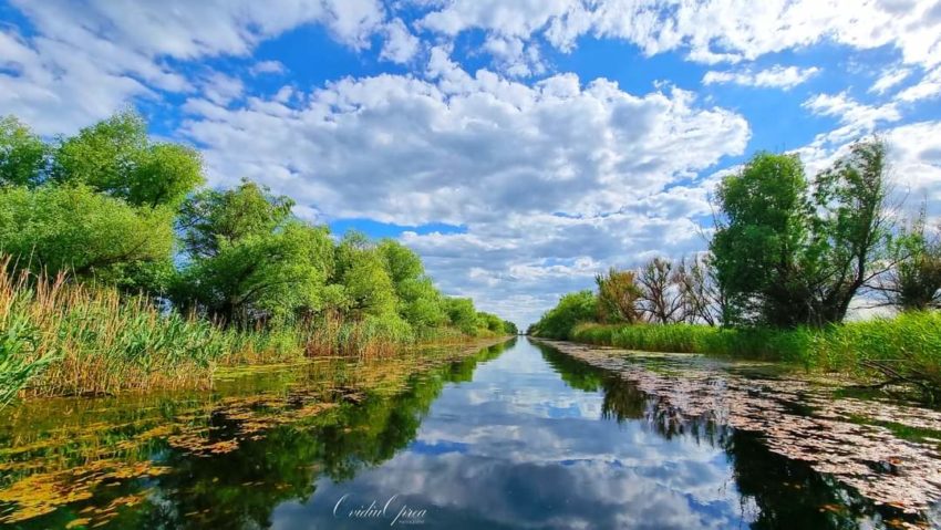 delta-dunarii-2-foto-ovidiu-oprea