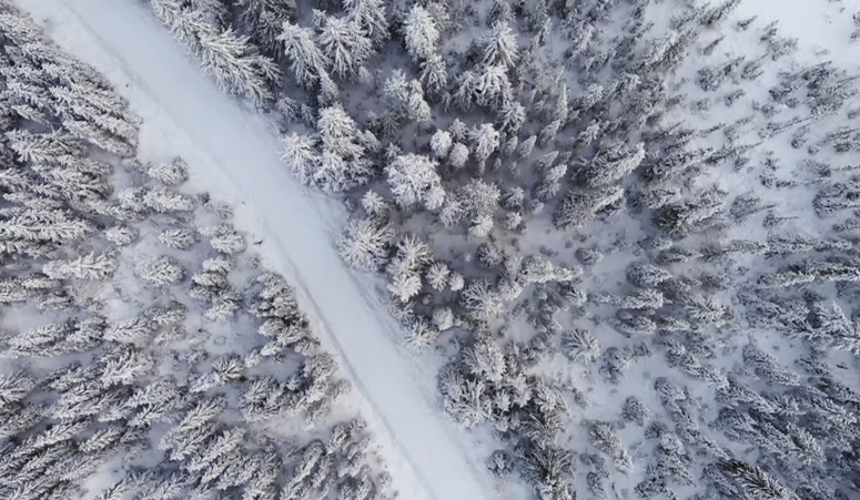 Alertă de fenomene extreme periculoase: Precipitații mixte, ceață și polei