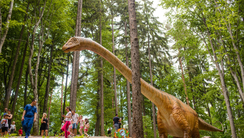 Activități educaționale gratuite pentru elevi și profesori, la Dino Parc Râșnov