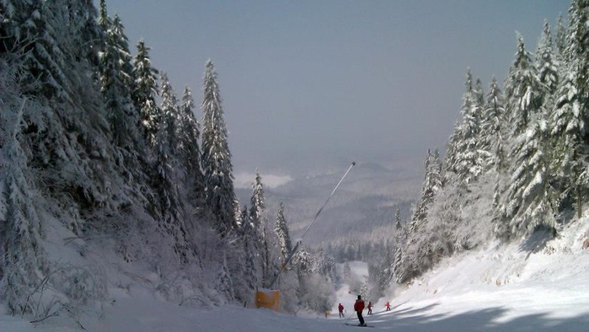 Starea pârtiilor din Poiana Brașov. Încă o zi excelentă pentru schiori