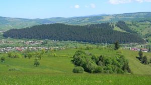Comuna Sita Buzăului, din judeţul Covasna, a fost declarată staţiune turistică de interes local