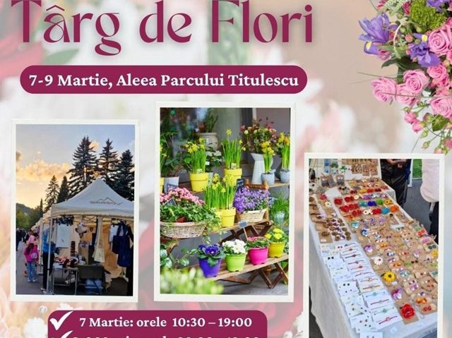 BRAȘOV: Târg de flori, în centrul orașului