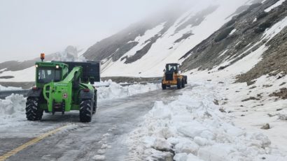 dezapezire transalpina