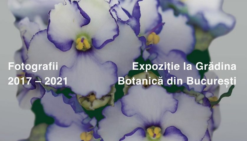 Fotografii de Norbert Kopf, expuse în Grădina Botanică din București