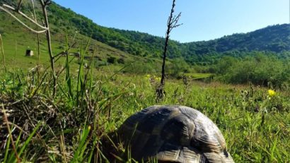 S-a deschis sezonul turistic în Parcul naţional Munţii Măcinului