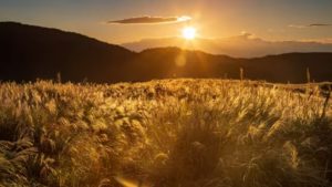 Vremea 22 septembrie: temperaturi de vară în cea mai mare parte a țării
