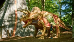 Dino Parc Râșnov, ofertă specială