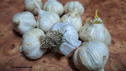 Usturoiul în … mâncăruri