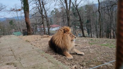 Noutăți la Grădina Zoologică din Reșița