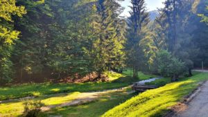 Natura, remediu simplu pentru stres