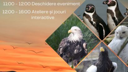 Zoo Brașov marchează Ziua Internațională a Păsărilor