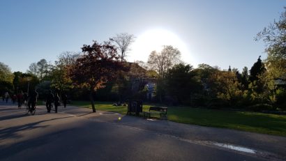 Vondelpark, inima verde a Amsterdamului