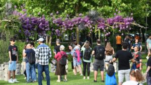 Literatura, tema celei de-a treia ediții a West Side Flower Fest 