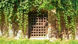 La pas, prin Bihor: Sălacea, satul celor 1.000 de pivnițe