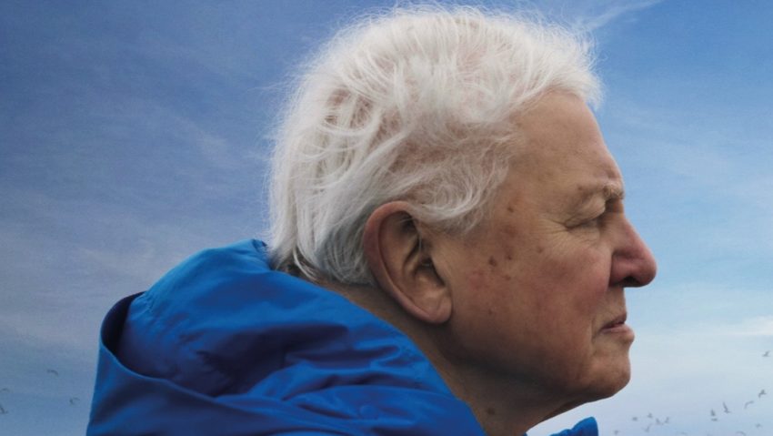 Ocean, narat de David Attenborough, proiecție în premieră la Brașov în cadrul LYNX Festival Ocean, narat de David Attenborough, proiecție în premieră la Brașov în cadrul LYNX Festival