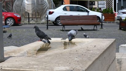 Recomandările ISU pentru zilele caniculare