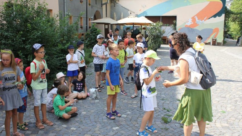BRAȘOV: Vacanța artelor, la muzeu BRAȘOV: Vacanța artelor, la muzeu