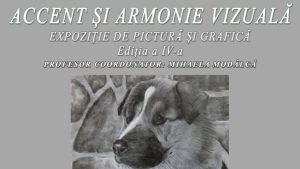BRAȘOV: Accent și armonie vizuală, la Biblioteca engleză