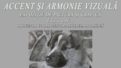 BRAȘOV: Accent și armonie vizuală, la Biblioteca engleză
