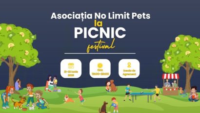 BACĂU: Picnic Festival 2025 – Împreună pentru animalele fără stăpân