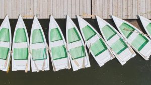 Zaga Zaga, un colț feeric din Delta Siretului