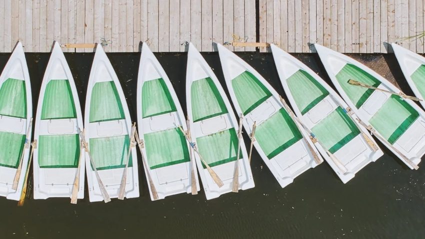 Zaga Zaga, un colț feeric din Delta Siretului Zaga Zaga, un colț feeric din Delta Siretului