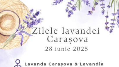 Zilele Lavandei Carașova 2025: plimbări parfumate și muzică live în inima naturii