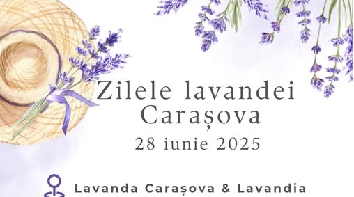 Zilele Lavandei Carașova 2025: plimbări parfumate și muzică live în inima naturii Zilele Lavandei Carașova 2025: plimbări parfumate și muzică live în inima naturii