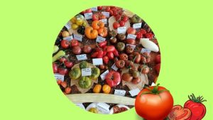Festivalul Tomatelor și al Biodiversității, la Muzeul Național al Satului Dimitrie Gusti