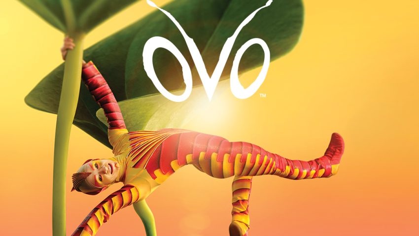 Cirque du Soleil vine la Cluj-Napoca