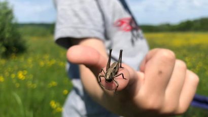 „Educație cu vedere la natură”, noul proiect al Asociației Colinele Transilvaniei