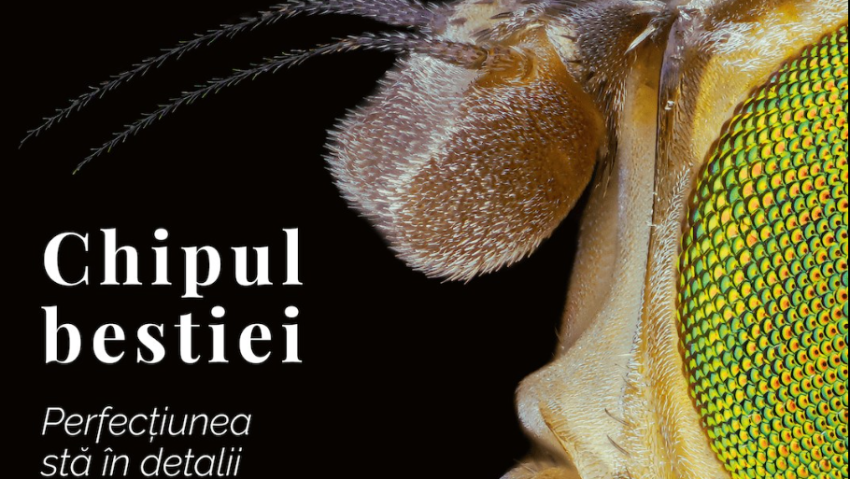 Muzeul Antipa deschide expoziţia „Chipul bestiei. Perfecţiunea stă în detalii” Muzeul Antipa deschide expoziţia „Chipul bestiei. Perfecţiunea stă în detalii”