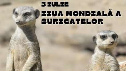 Ziua Mondială a Suricatelor, la Zoo Brașov