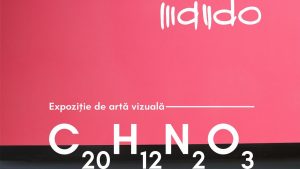 Expoziția C20H12N2O3, la Muzeul de Artă din Iași