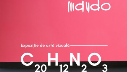 Expoziția C20H12N2O3, la Muzeul de Artă din Iași
