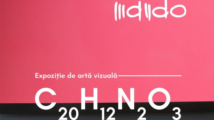 Expoziția C20H12N2O3, la Muzeul de Artă din Iași