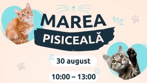 Marea Pisiceală, sâmbătă, la Bucureşti