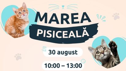 Marea Pisiceală, sâmbătă, la Bucureşti