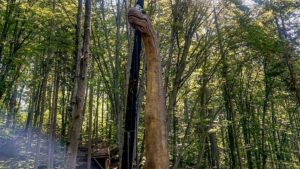 BRAȘOV: Dublă premieră la Dino Parc Râșnov!