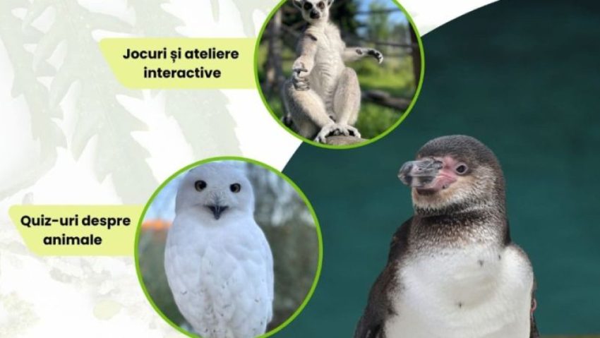 Ziua Internațională a Grădinilor Zoologice și a Parcurilor va fi marcată și la ZOO Brașov Ziua Internațională a Grădinilor Zoologice și a Parcurilor va fi marcată și la ZOO Brașov