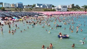 În județul Constanța nu au fost semnalate infectări cu bacteriile Vibrio
