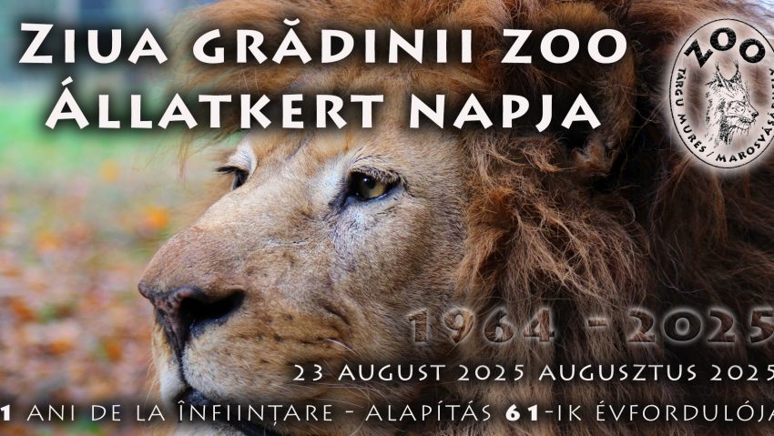 Zoo Târgu Mureș sărbătorește 61 de ani Zoo Târgu Mureș sărbătorește 61 de ani