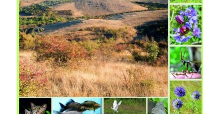 TULCEA: Simpozion național dedicat biodiversității și protejării patrimoniului natural, organizat de ICEM