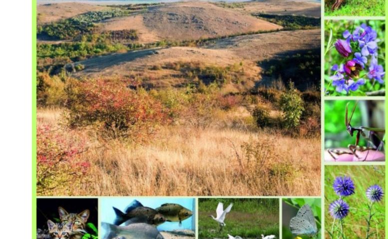 TULCEA: Simpozion național dedicat biodiversității și protejării patrimoniului natural, organizat de ICEM