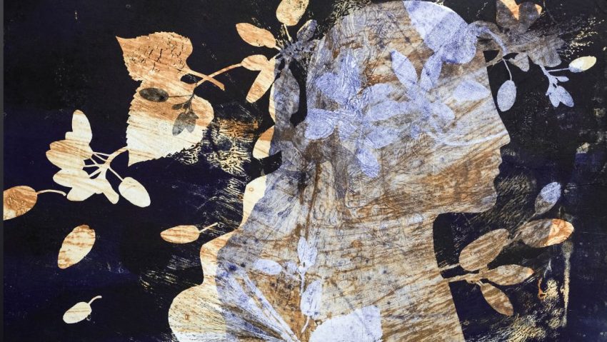 IAȘI: Expoziția „Herbarium II. Cutiile Pandorei”