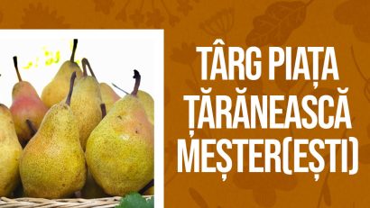 BUCUREȘTI: Târg Piața Țărănească, la MNTR