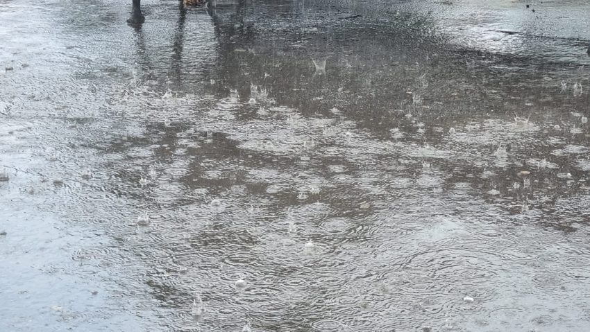 Ploi abundente în jumătatea de sud-est a țării