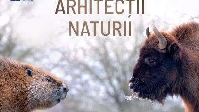 Documentarul „Arhitecții Naturii”, în cinematografe