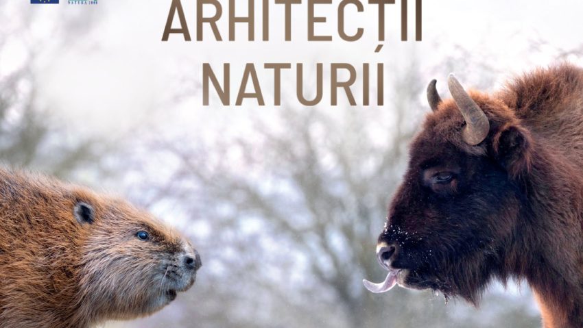 Documentarul „Arhitecții Naturii”, în cinematografe Documentarul „Arhitecții Naturii”, în cinematografe