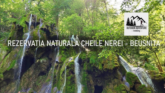Avertisment pentru turiști: Activitățile fără aviz sunt interzise în Parcul Național Cheile Nerei – Beușnița Avertisment pentru turiști: Activitățile fără aviz sunt interzise în Parcul Național Cheile Nerei – Beușnița